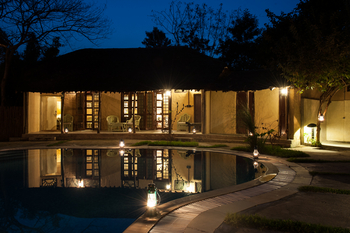 Jim's Jungle Retreat: Swimming Pool