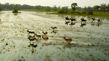 Kujwana Camp: Galopp mit Antilopen