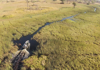 Moremi Crossing: Luftbild