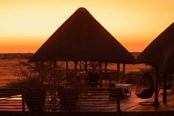 Suricate Tented Camp: Pool Pavillon