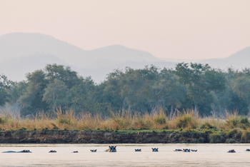 Classic Zambia Safaris Classic Zambia Safaris: Hippo Pod