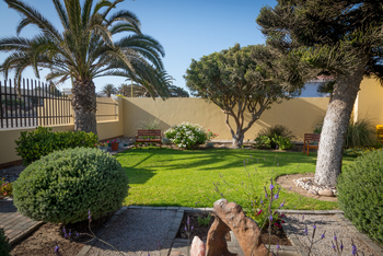 Cornerstone Guesthouse: Palmen im Garten