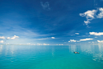 Cosmoledo Eco Camp: Treibgut