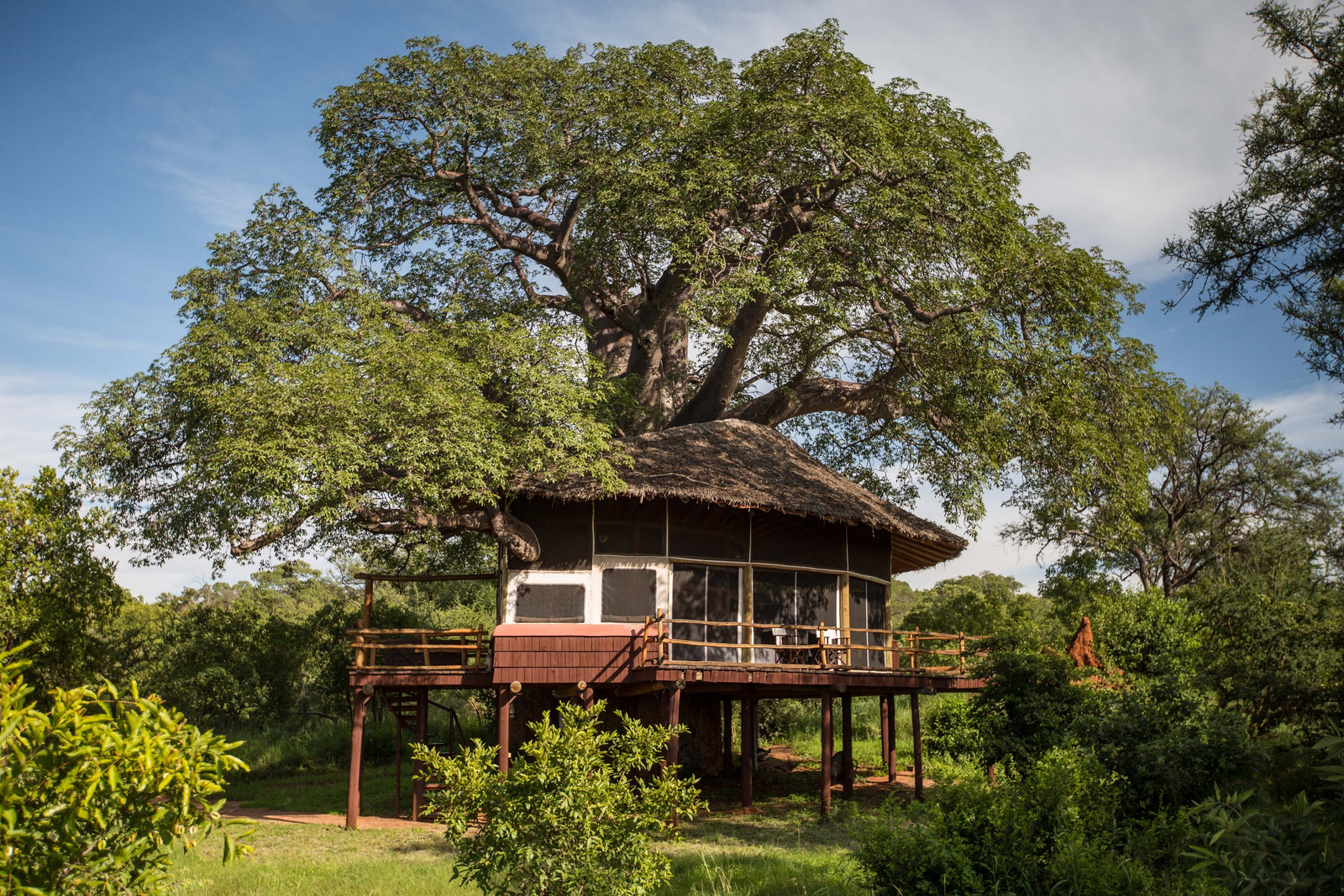 Elewana Tarangire Treetops Elewana Tarangire Treetops: Blick auf das Baumhaus