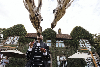 Giraffe Manor: Giraffenerlebnis