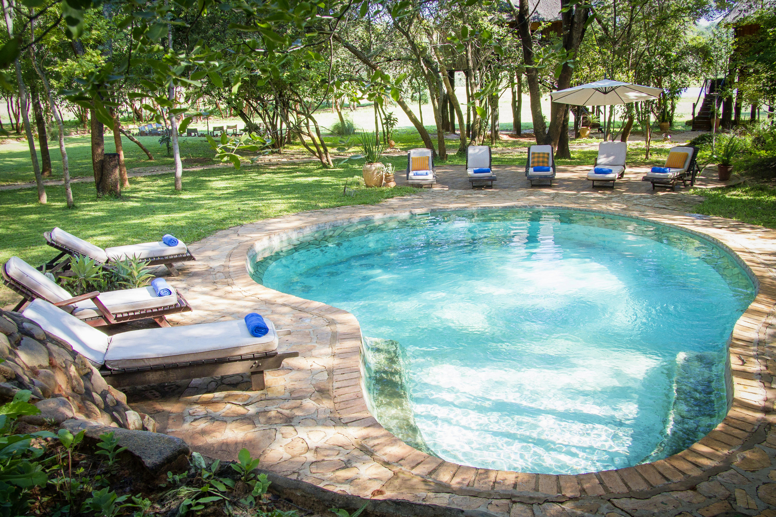 Ivory Safari Lodge Ivory Safari Lodge: Swimming Pool