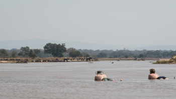 Kutandala Camp: Tierbeobachtung im Wasser