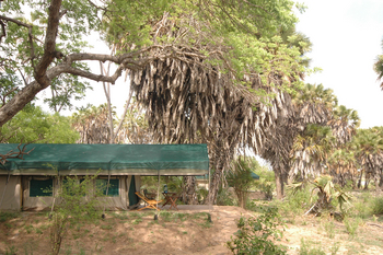 Lake Manze Camp: Gästezelt