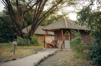 Lake Natron Tented Camp: Rustikales Holzhütte unter Blätterdach im Morgenlicht