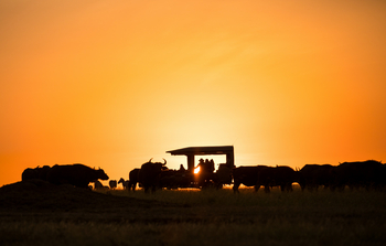 Mara Plains Camp: Abendstimmung