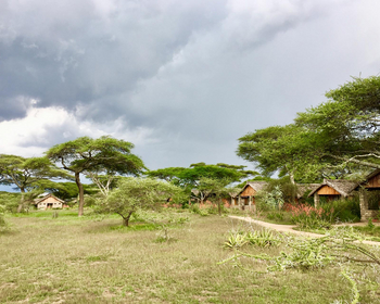 Ndutu Safari Lodge: Cottages