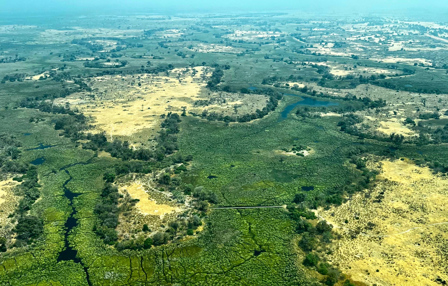 North Island Okavango Camp