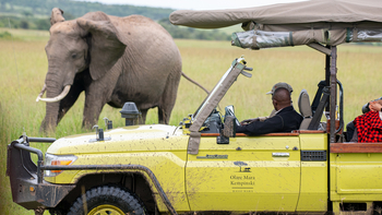 Olare Mara Kempinski: Elefant vor Safari Fahrzeug