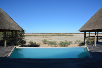 Suricate Tented Camp: Pool