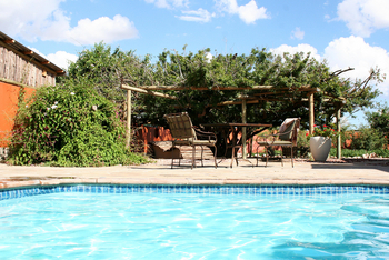 Teufelskrallen Lodge: Pool und Garten