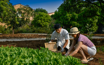 The Postcard Gir Wildlife Sanctuary: Im Gemüsegarten