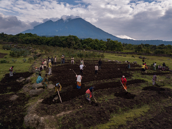 Volcanoes Mount Gahinga Lodge: Landwirtschaft