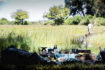 Vumbura Plains Camp: Picknick