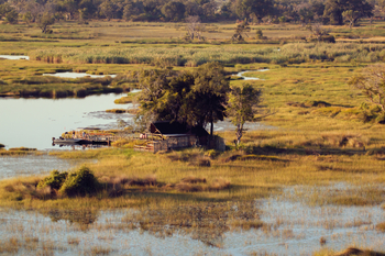 Belmond Eagle Island Lodge: Bar und Anlegestelle