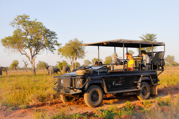 Chikunto Safari Lodge Chikunto Safari Lodge: Elefantenbegegnung