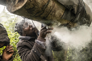 Loldia House: Eburu Forest