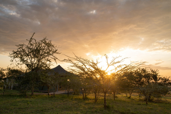 Mara Mara Tented Lodge: Sonnenaufgang im Camp