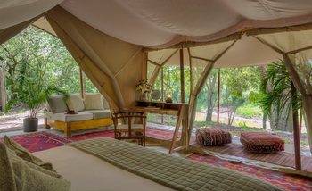 Naibor Camp: Standardgästezelt