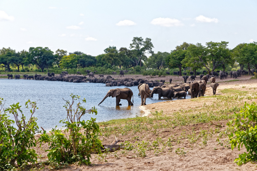 Nambwa Tented Lodge