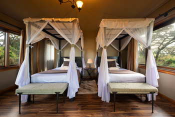 Ngorongoro Lion's Paw: Executive Twin Suite