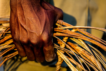 Onguma Reserve: Anti Poaching Unit
