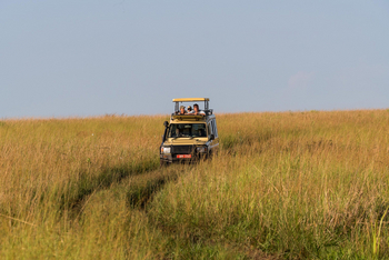 Papa's Camp: Game Drive mit offenem Dach