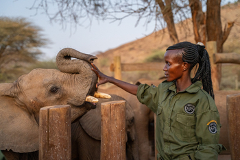 Reteti Elephant Sanctuary Reteti Elephant Sanctuary: Keeper Pauline