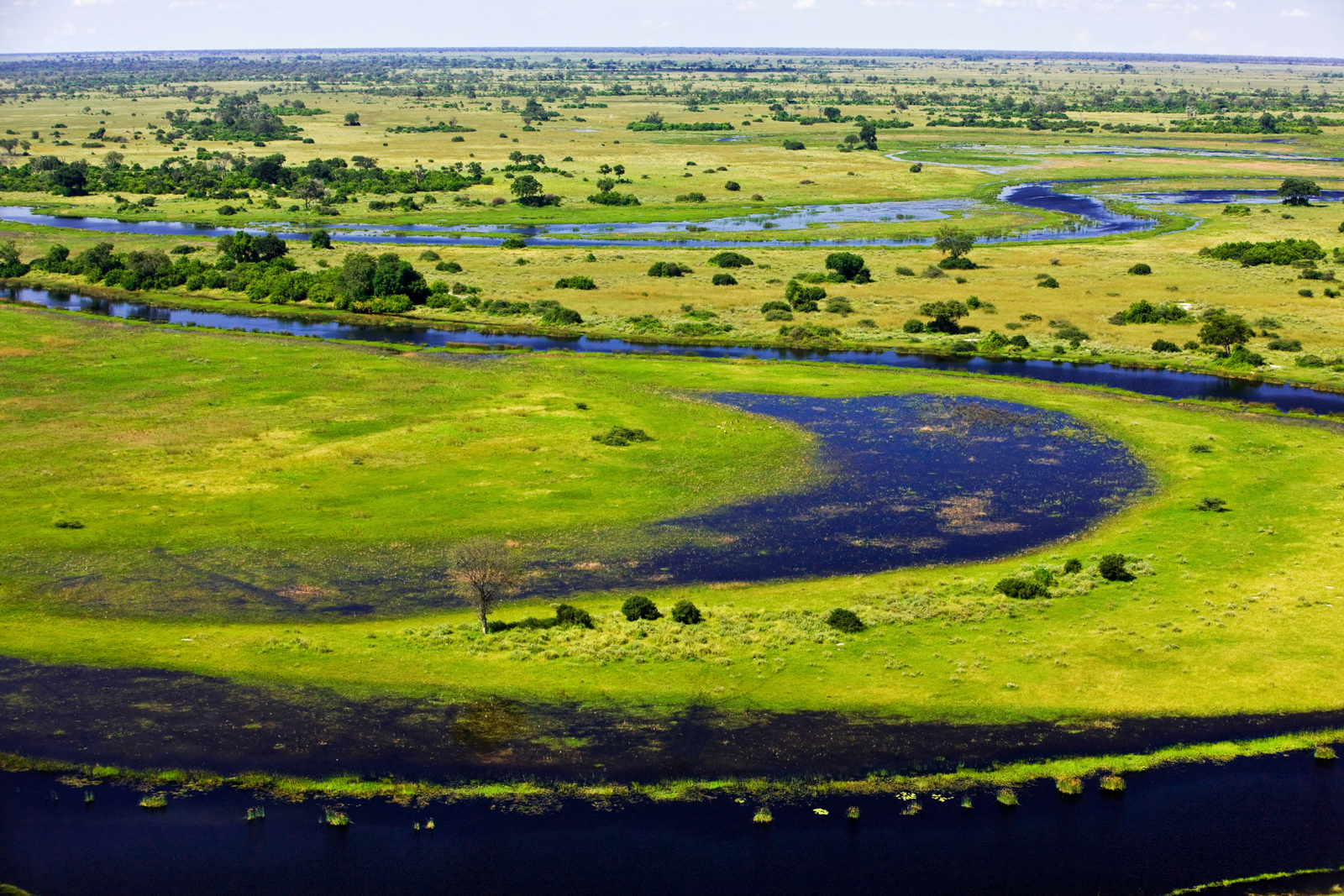 Selinda Camp Selinda Camp: Flussschlingen