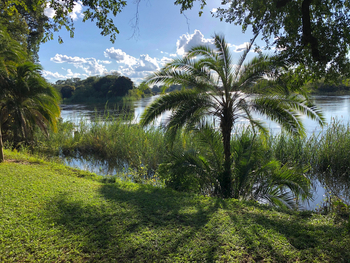 Shametu River Lodge: Garten