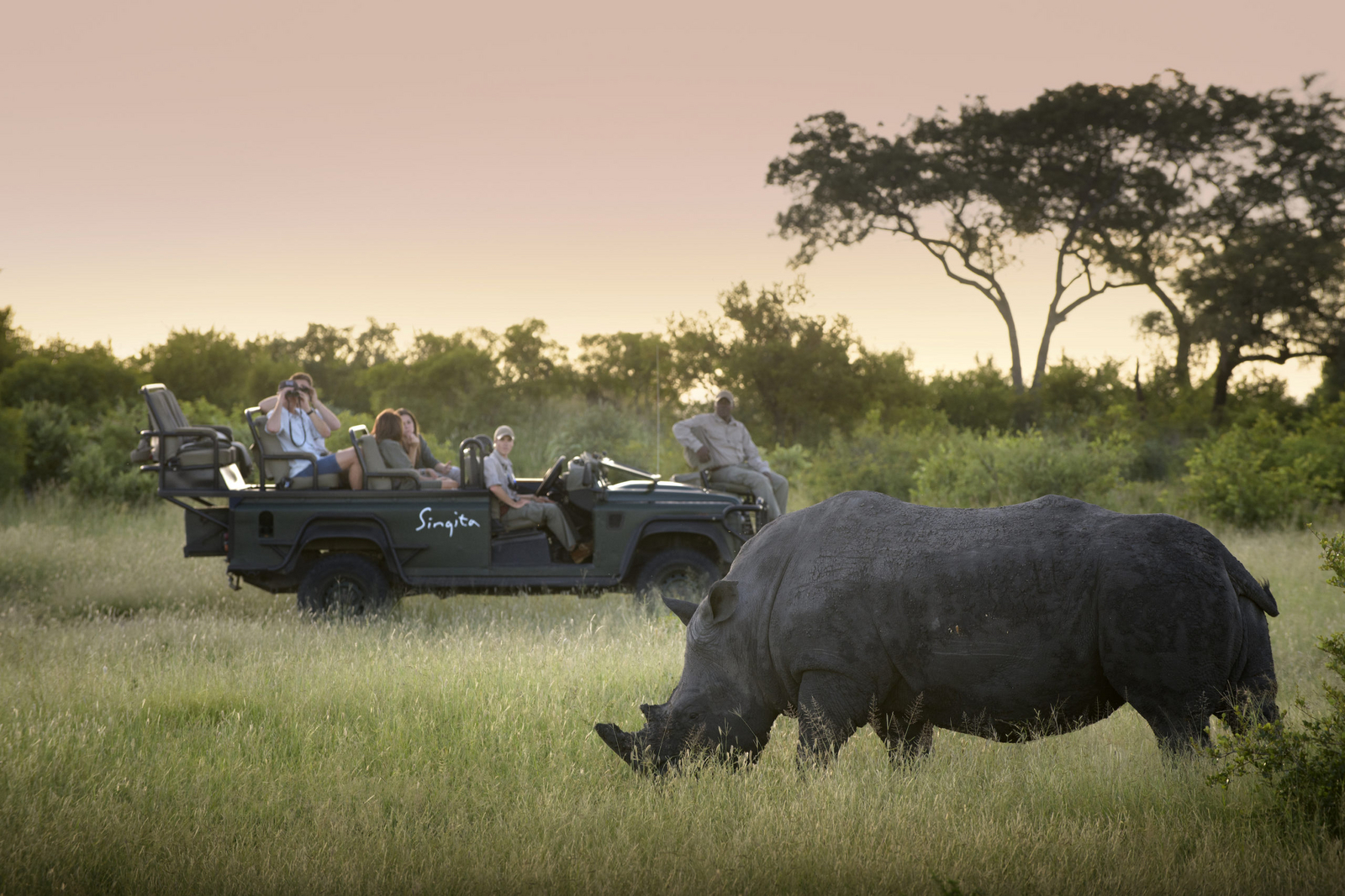 Singita Castleton Singita Castleton: Gäste im Safariwagen beobachten Nashorn bei Sonnenuntergang
