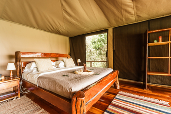 Tangulia Mara Camp: Doppelbett mit Holzrahmen