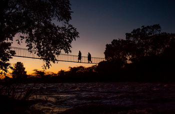 The Nest Treehouse: Brücke