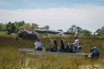 Vumbura Plains Camp: Motorbootexkursion