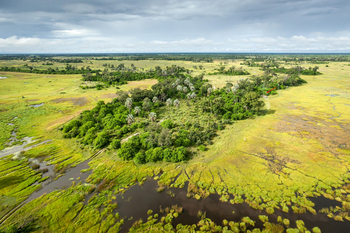 Amber River Camp: Insel des Camps