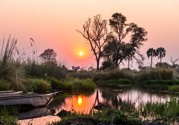 Atzaro Okavango Camp: Sonnenuntergang