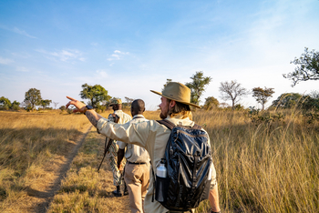 Chisa Busanga Camp Chisa Busanga Camp: Walking Safari