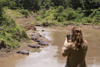 Governors' Camp: Nilpferde im Flussbett