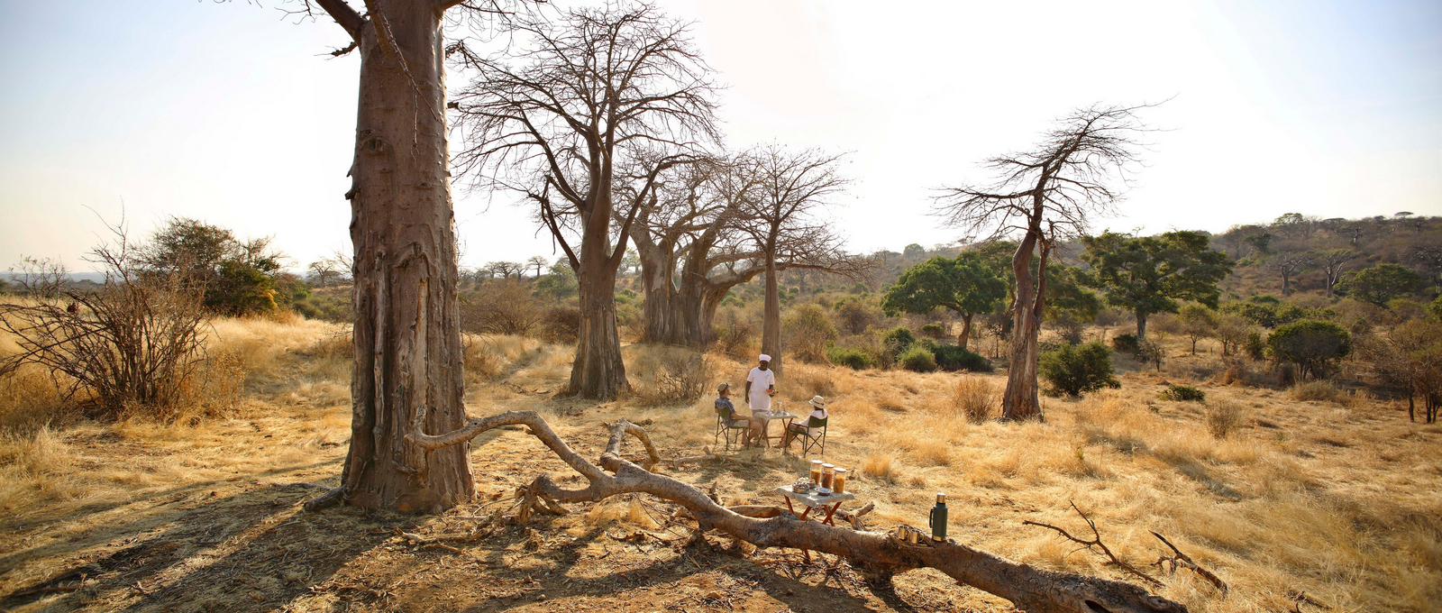 Ikuka Safari Camp Ikuka Safari Camp: Bush Breakfast
