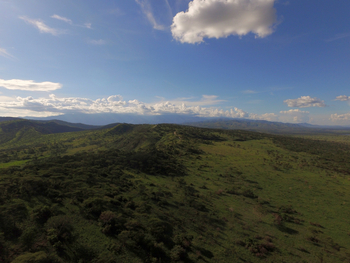 Kasenyi Safari Camp: Savanne am Crater Drive