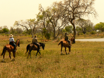 Kujwana Camp: Ritt durch grüne Landschaft