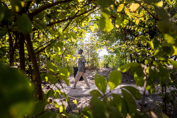 Kulandila Camp Kulandila Camp: Weg durch das Campgelände