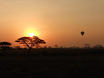 Masek Tented Lodge: Heißluftballon