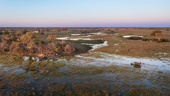 Okavango Explorers Camp Okavango Explorers Camp: Anfahrt zum Sundowner