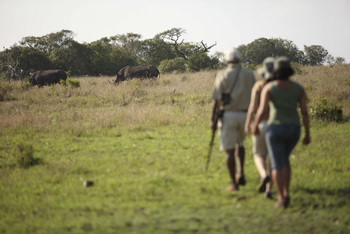 Phinda Mountain Lodge: Geführte Wanderung
