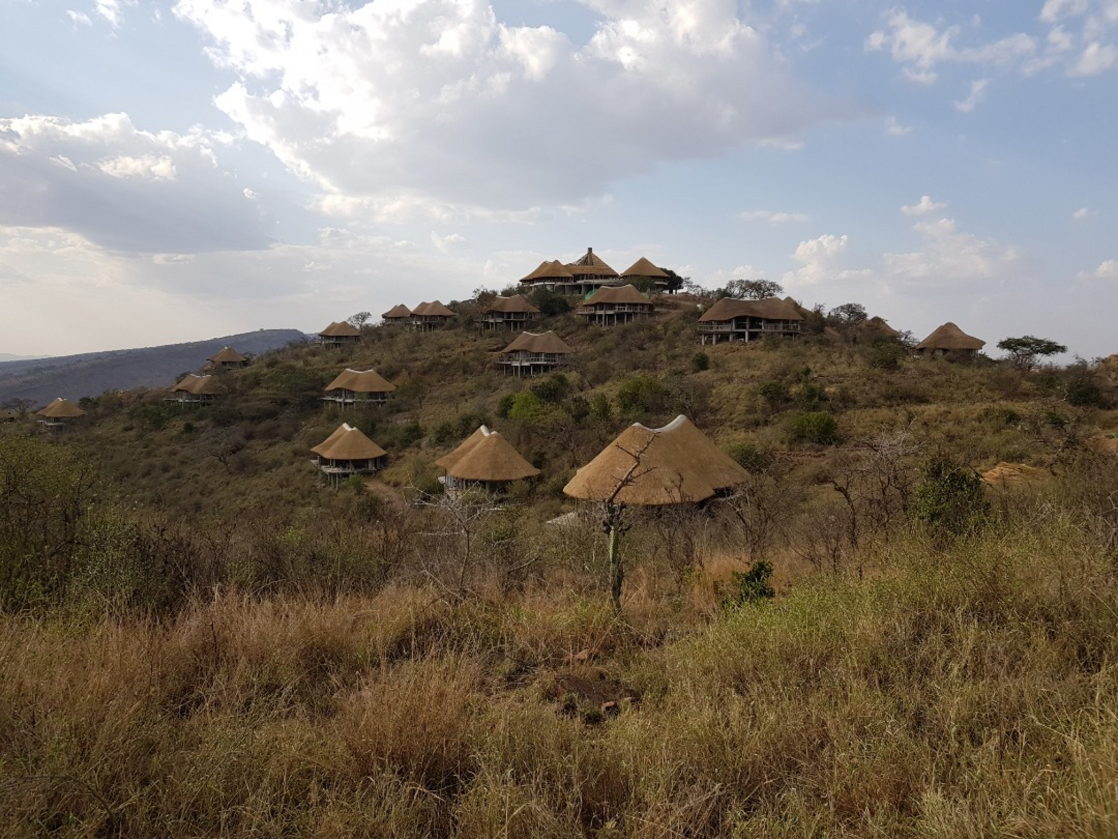 Serengeti Lake Magadi Lodge Serengeti Lake Magadi Lodge: Gästeunterkünfte